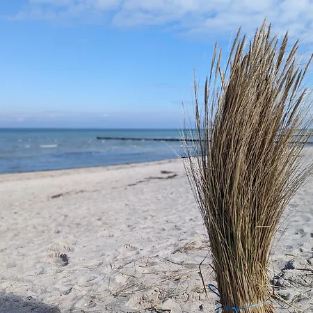 Traum Bonkowski Am Schweriner * Hohen Viecheln
